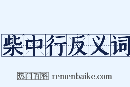 柴中行反义词是什么意思的图片